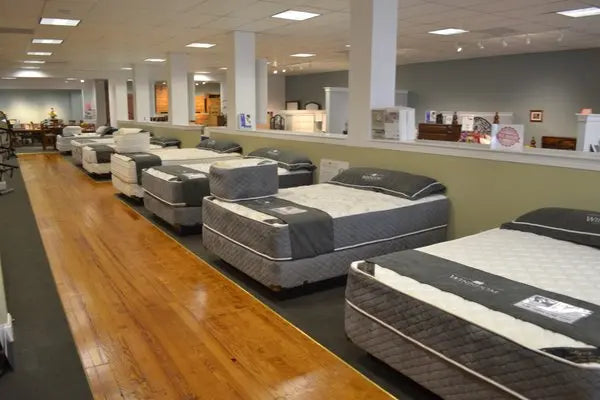 Wyatt Off Furniture Winndom Mattress